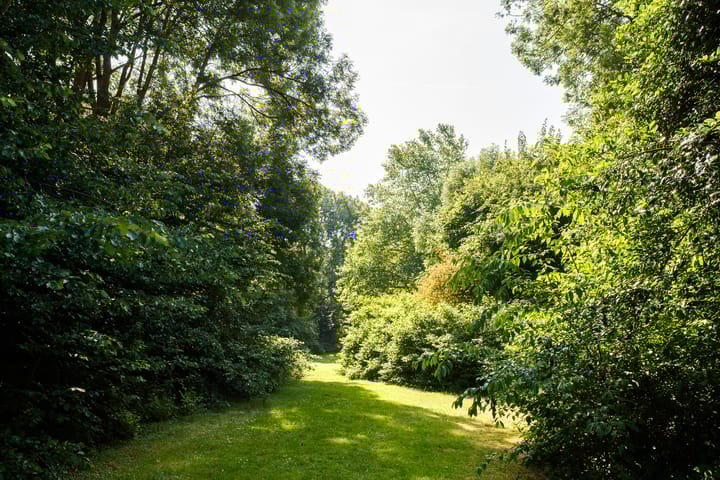 Foto 33 van Pernambucodreef 27