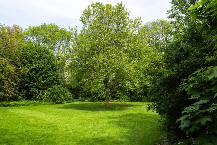 Foto 34 van Pernambucodreef 27