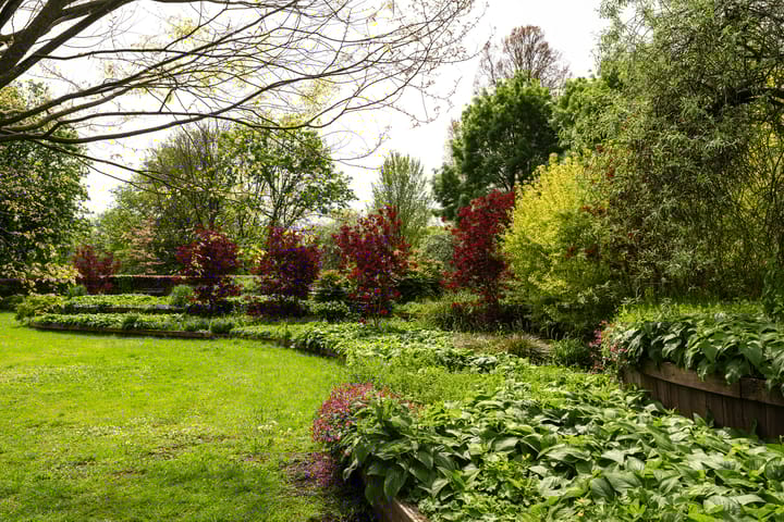 Foto 35 van Pernambucodreef 27