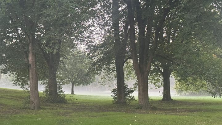 Foto 37 van Pernambucodreef 27