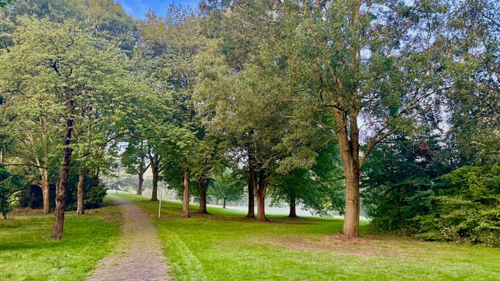 Foto 38 van Pernambucodreef 27