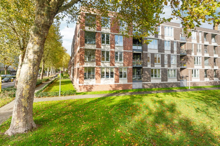 Foto 2 van Lentemorgen 46