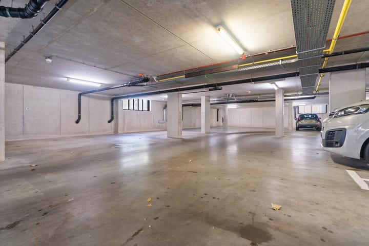 Foto 36 van Lentemorgen 46