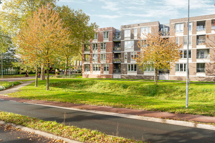 Foto 39 van Lentemorgen 46