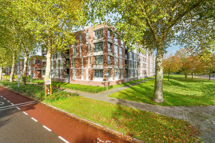 Foto 41 van Lentemorgen 46