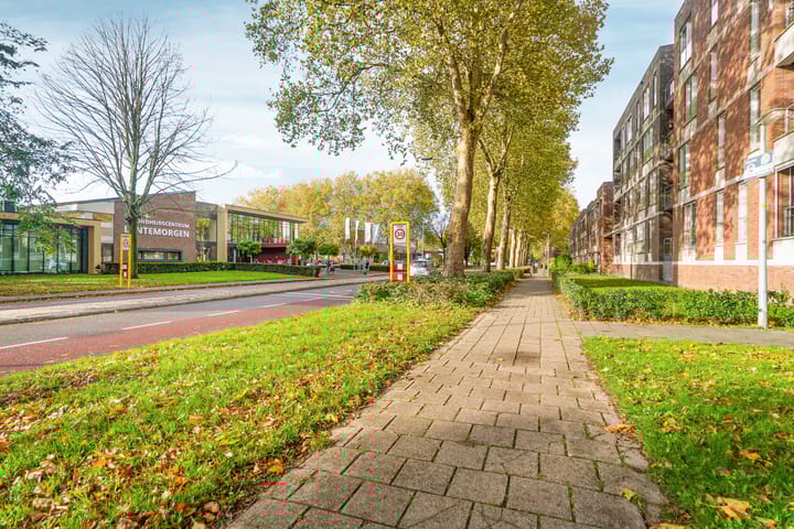 Foto 42 van Lentemorgen 46