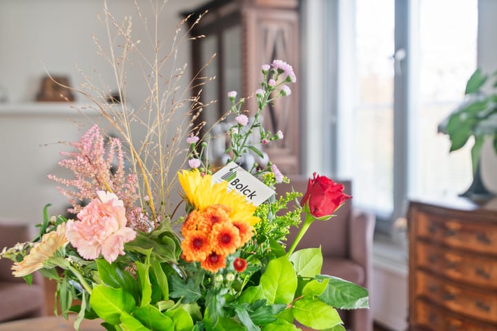 Foto 22 van Lentemorgen 46