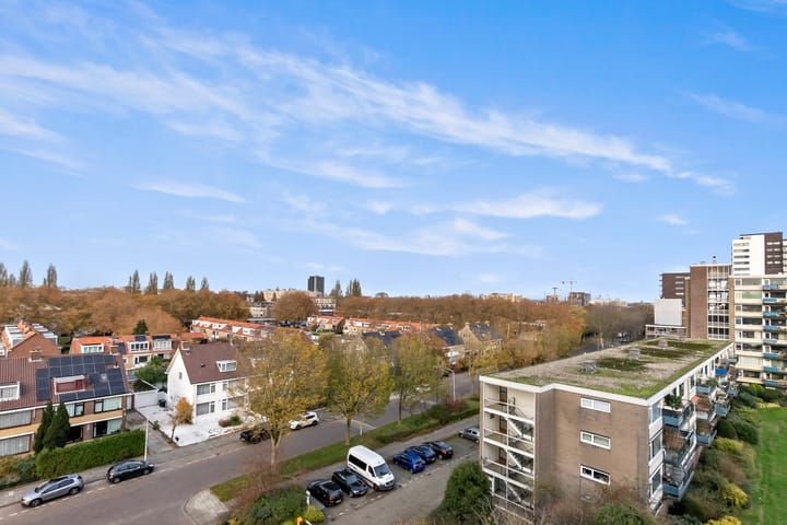 Photo 52 of Apollolaan 628