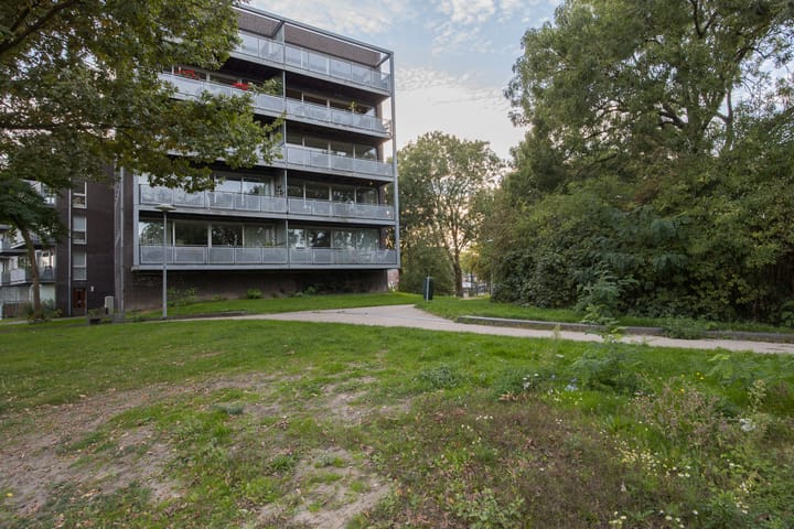 Photo 39 of Adriaan van Bergenstraat 62