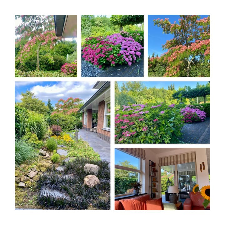 Foto 30 van Johannes Maria Goeslaan 13