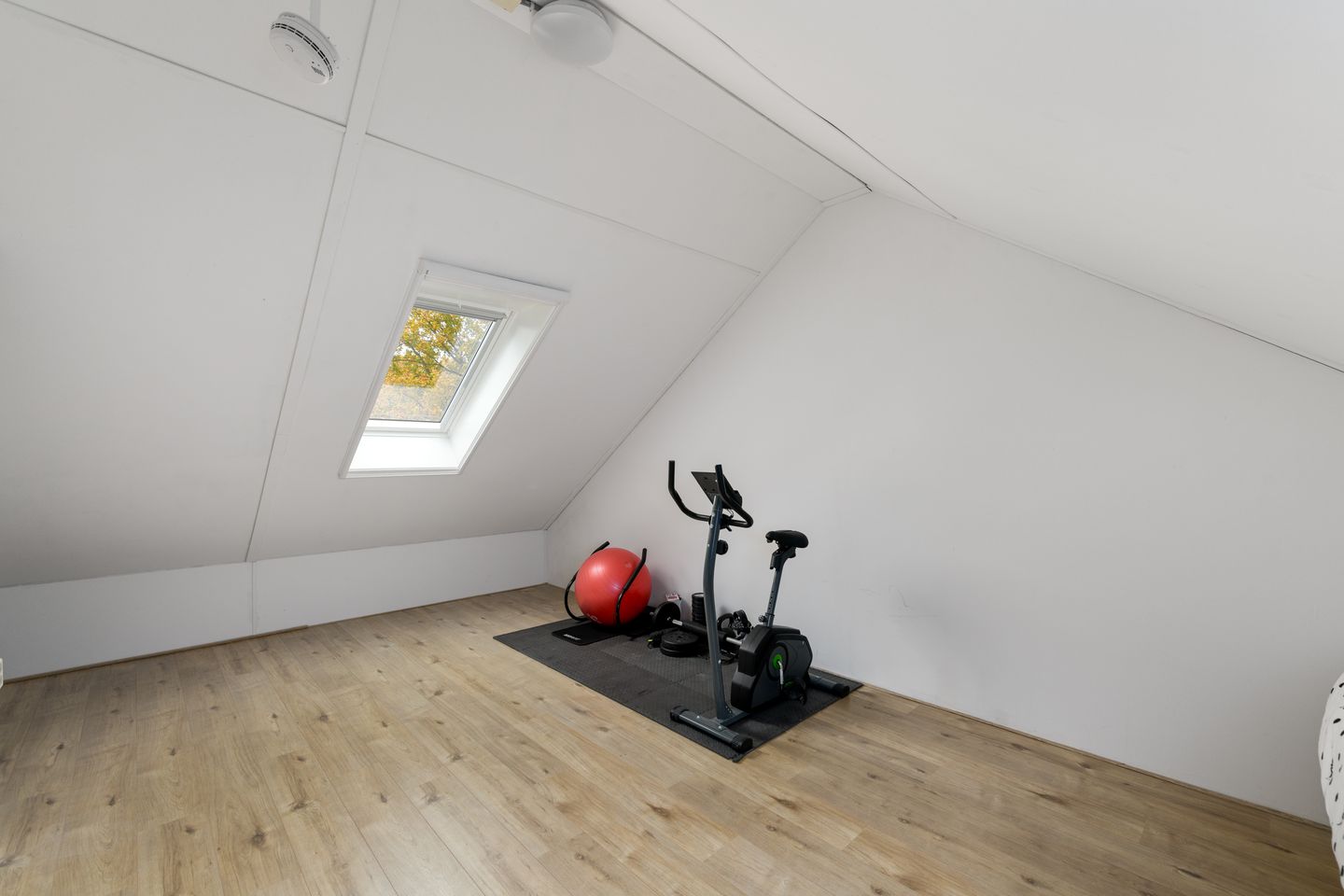 Foto 25 van Piet Mondriaanstraat 5