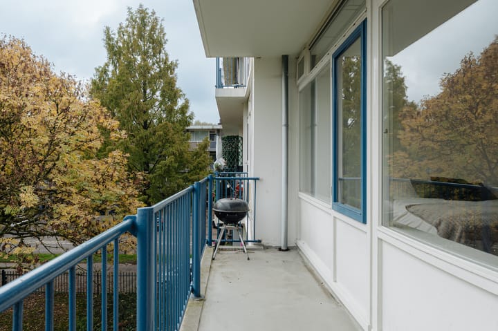 Foto 12 van Loevestein 55