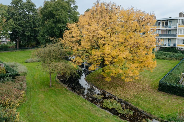 Foto 25 van Loevestein 55