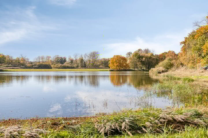 Foto 41 van Bachlaan 10