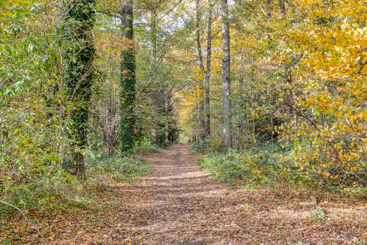 Foto 43 van Bachlaan 10