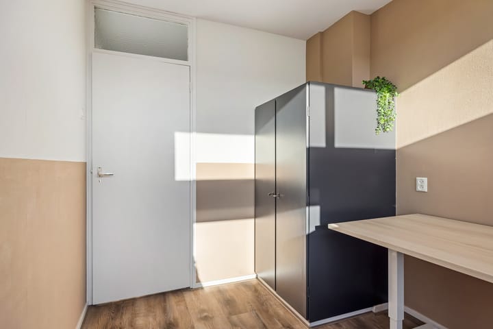 Photo 29 of Maria Louisestraat 3