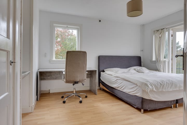 Foto 20 van Van Hoornstraat 28