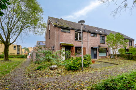 undefined main image