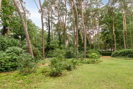 Oostendorperweg 65-Z tertiary image