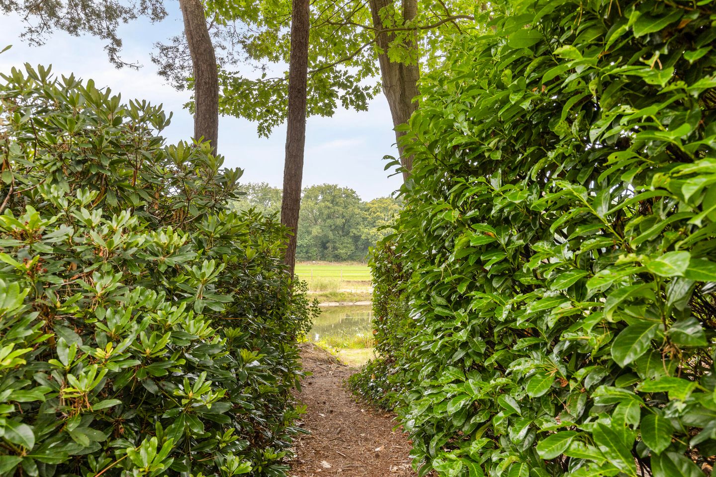 Foto 25 van Oostendorperweg 65-Z