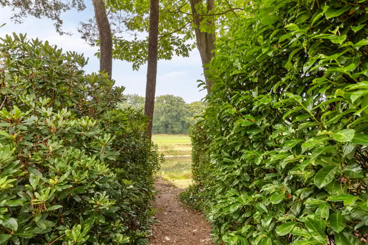 Foto 25 van Oostendorperweg 65-Z