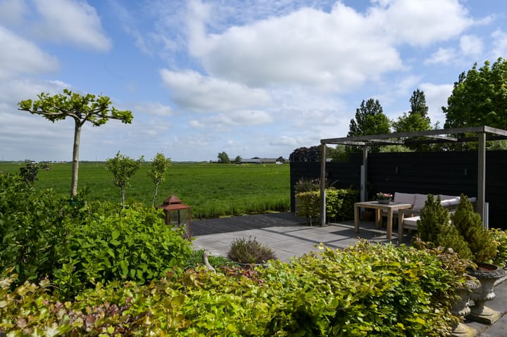 Foto 33 van Koraal 40