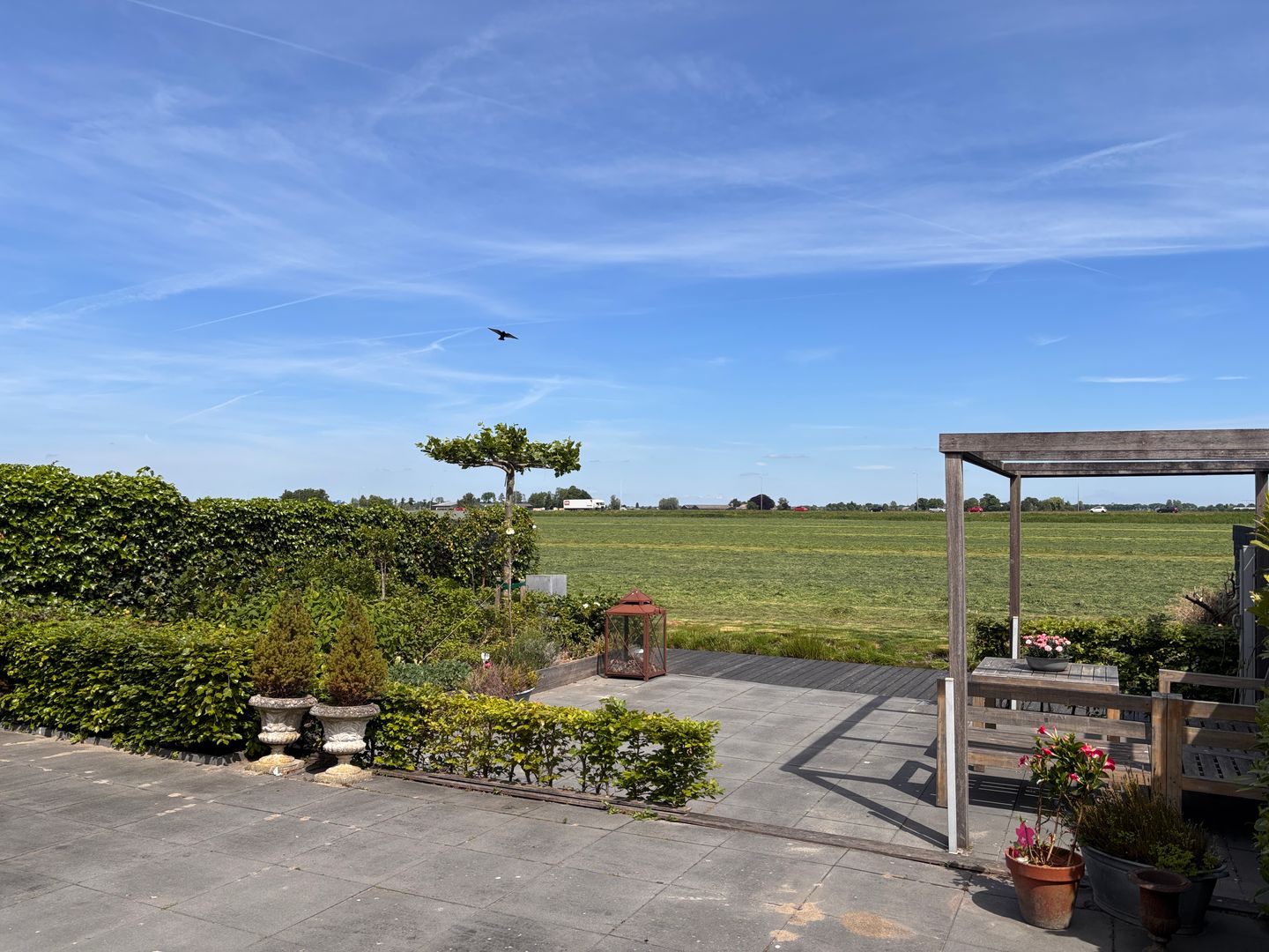 Foto 40 van Koraal 40