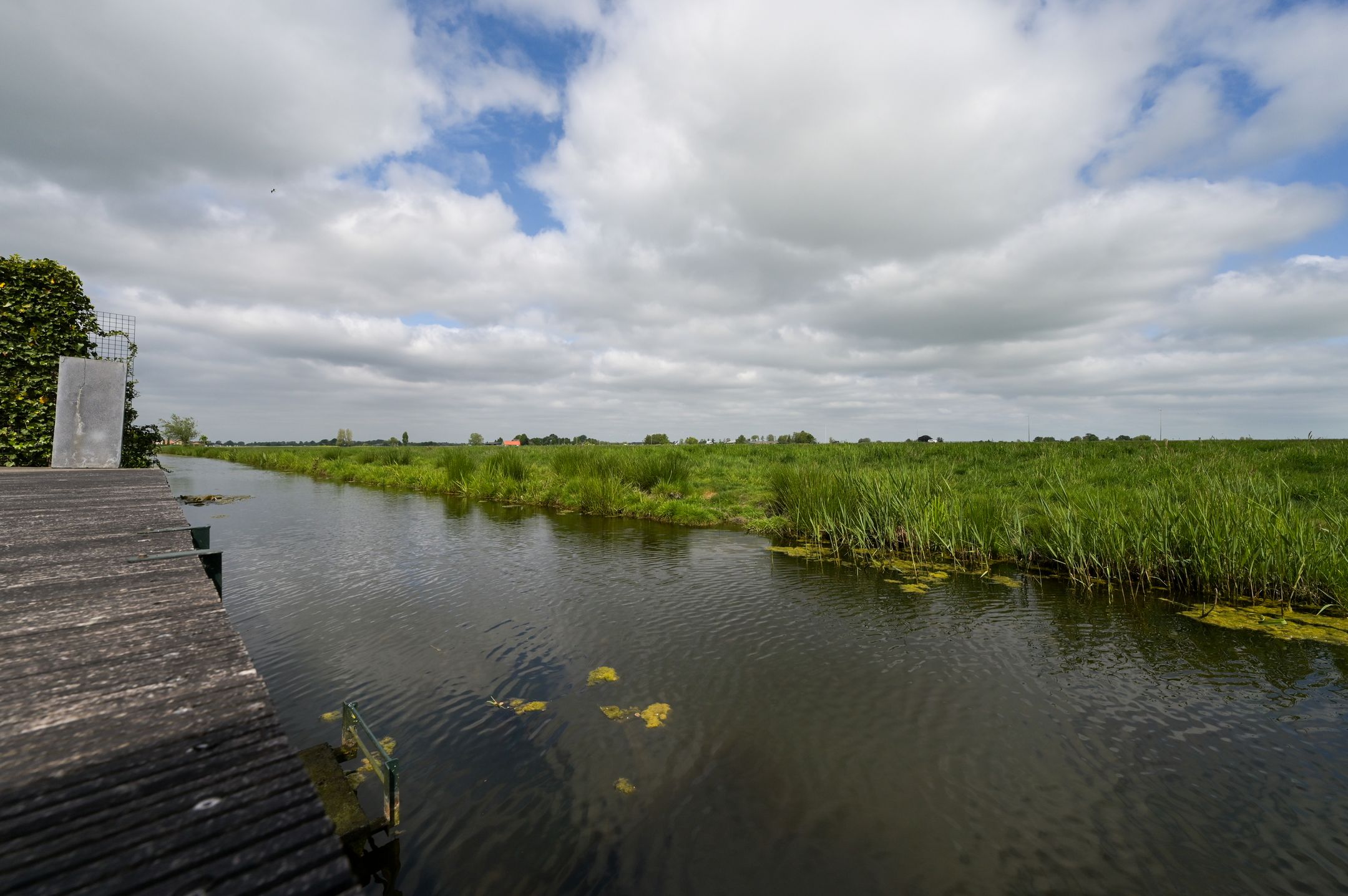 Foto 45 van Koraal 40