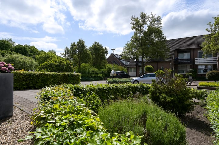 Foto 53 van Koraal 40