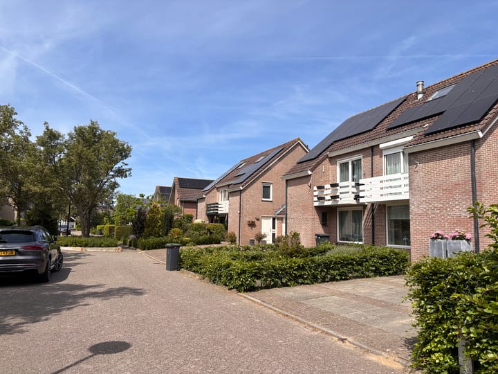 Foto 54 van Koraal 40