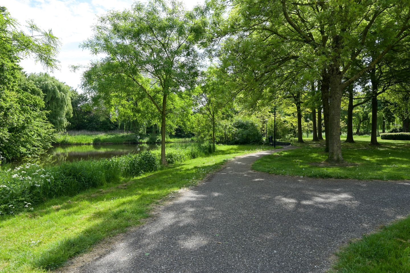 Foto 55 van Koraal 40