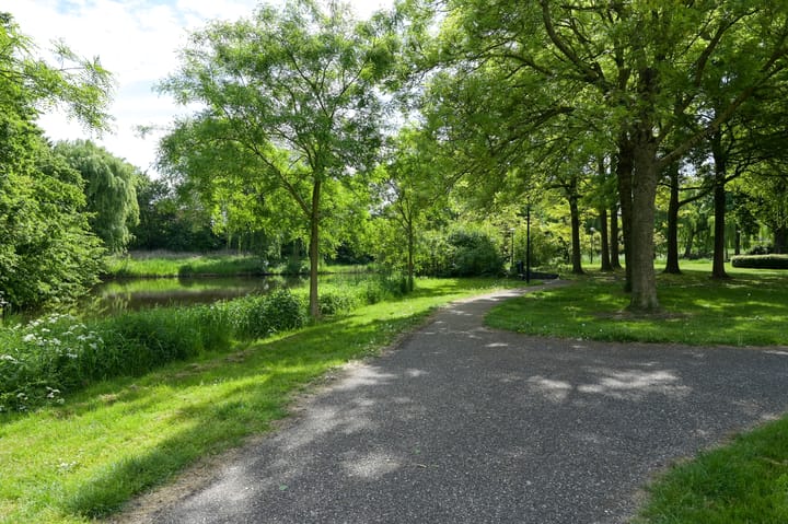 Foto 55 van Koraal 40