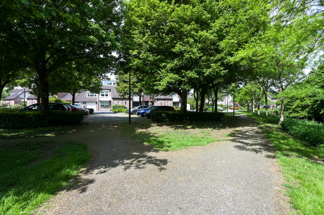 Foto 56 van Koraal 40