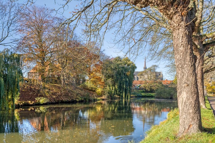 Photo 38 of Tulpstraat 4