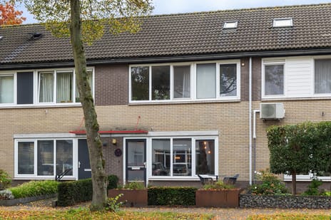 Anna Bijnsring 230 tertiary image