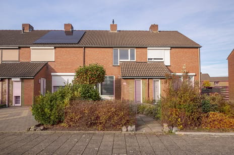 Honigmannstraat thumbnail