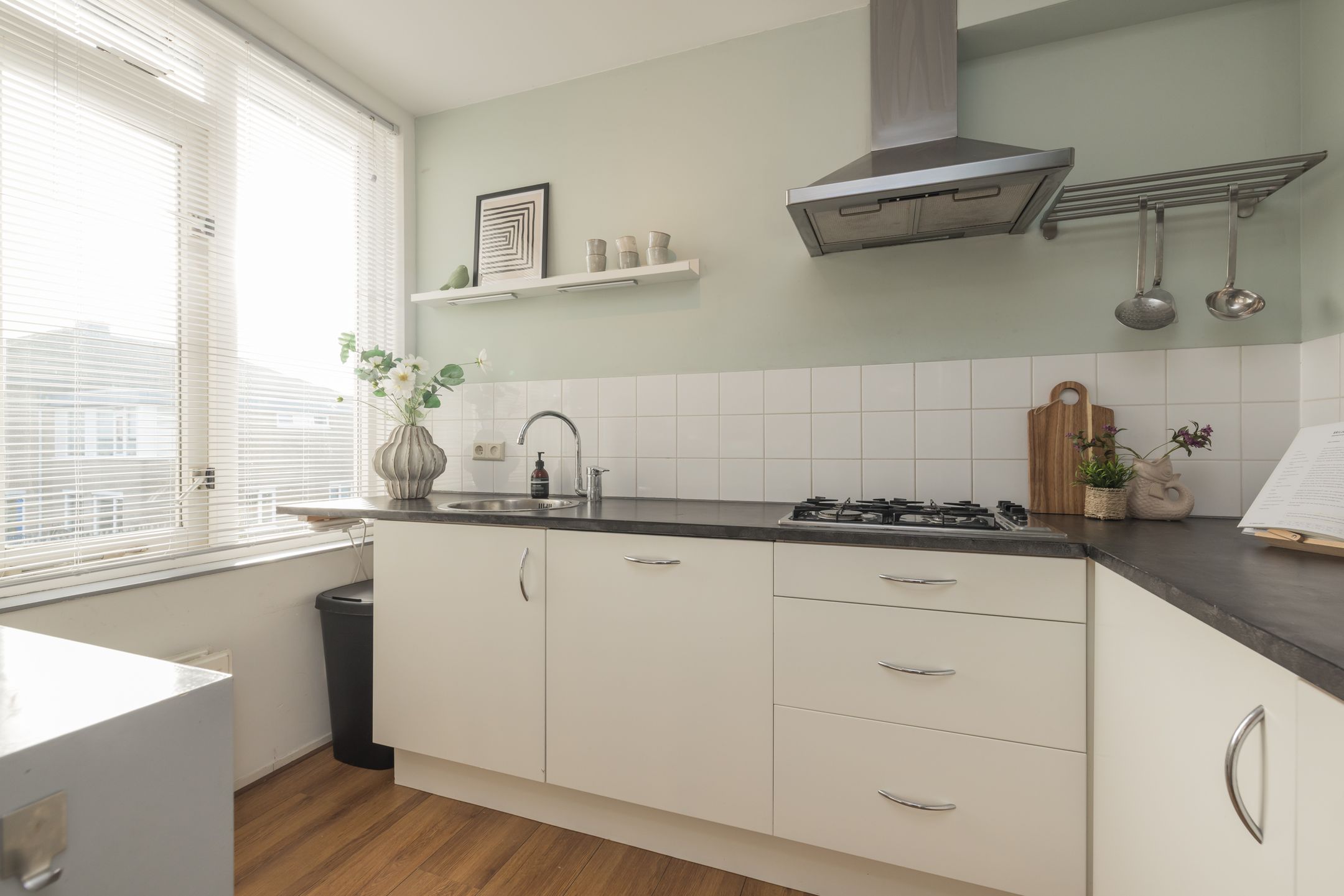 Foto 12 van Wasserij-Annalaan 51