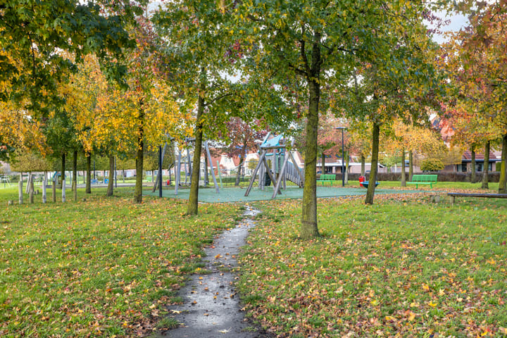 Photo 50 of Peseta 14