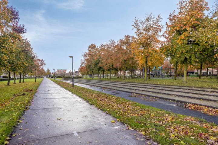 Photo 51 of Peseta 14