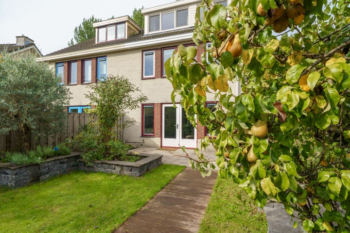 Photo 40 of Magneetveld 51