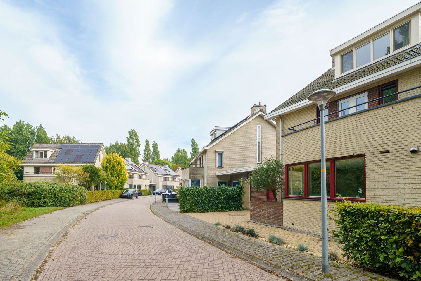 Photo 50 of Magneetveld 51