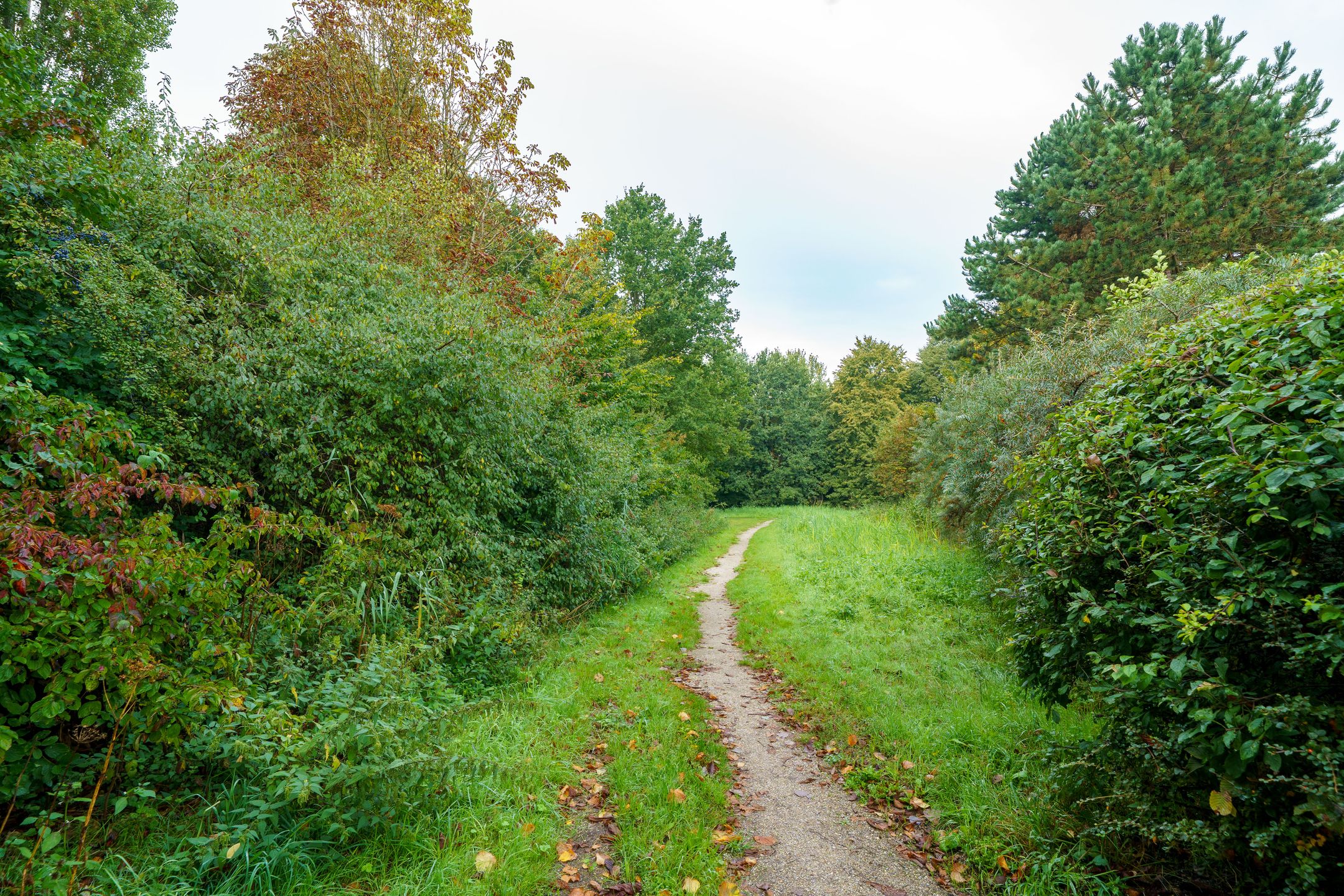 Photo 51 of Magneetveld 51