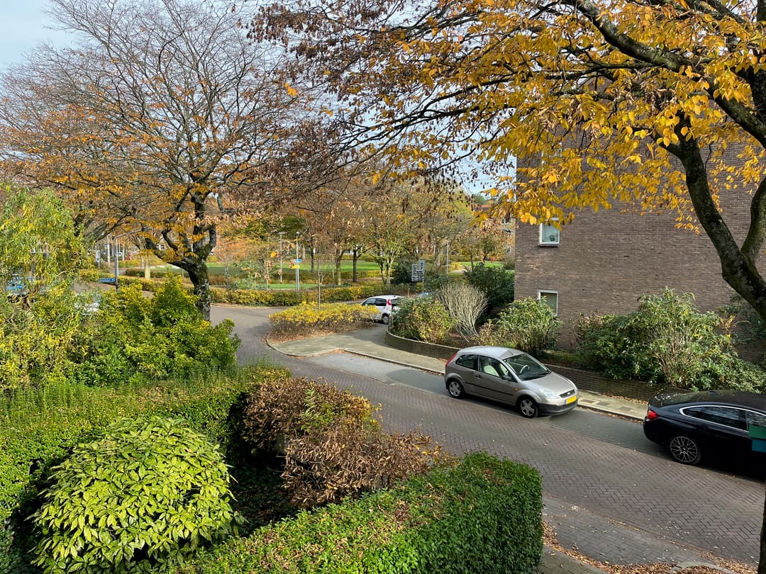 Foto 17 van Stalpaertstraat 51