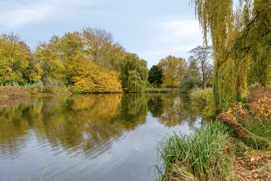 Foto 28 van Bataviastraat 83