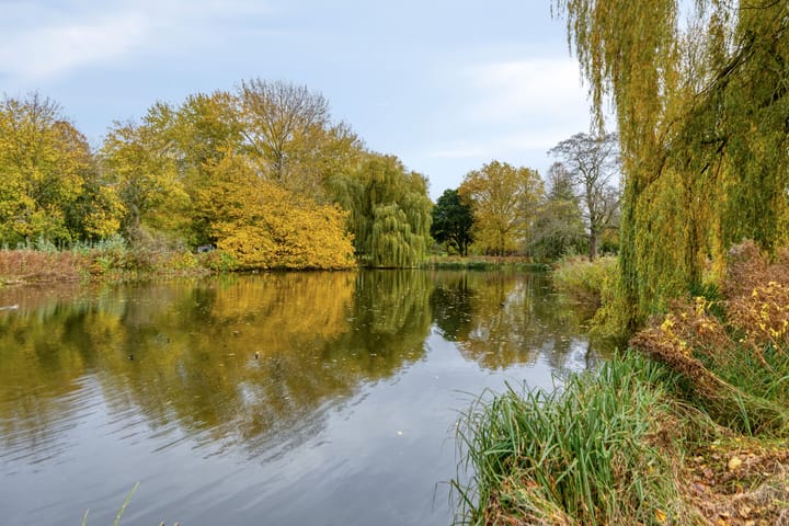 Foto 28 van Bataviastraat 83