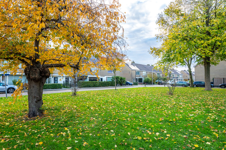 Photo 64 of Mauritsstraat 6