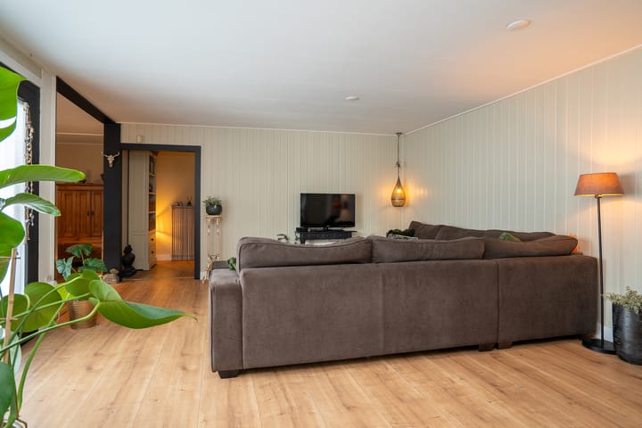 Foto 7 van Pluimstraat 53