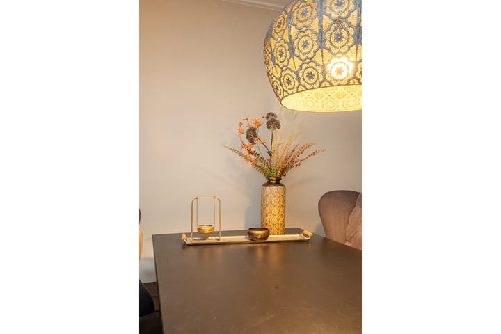 Foto 13 van Pluimstraat 53