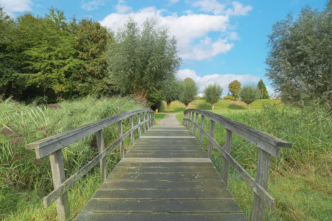 Foto 47 van Benedenrijweg 131