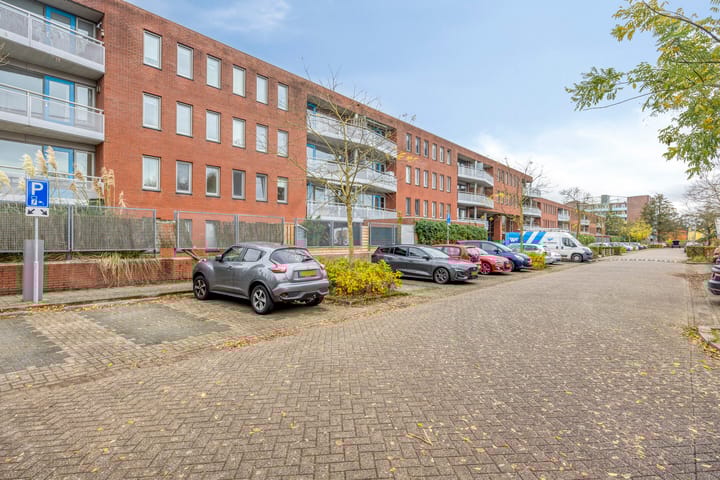 Photo 19 of Sichtermanmarke 220